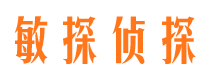 青云谱市侦探公司